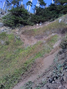 Totally insane cliff you can "hike" at Ragged Point.