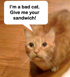badcat