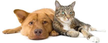 bffs