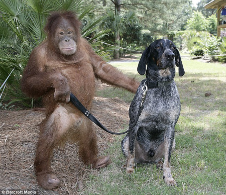 bffs3