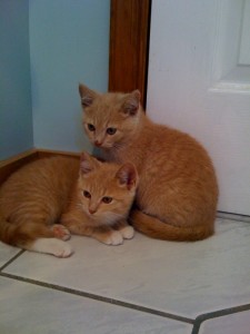 buster and baby