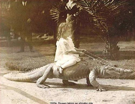 gator ride!