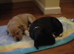 Enjoy the cuteness while it lasts!