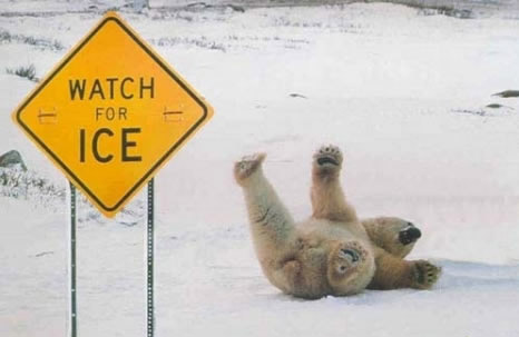 ice