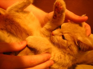 baby