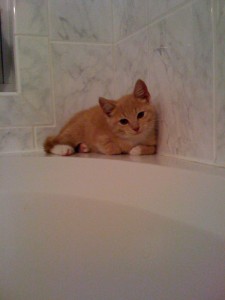 buster