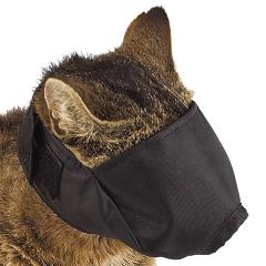 muzzle