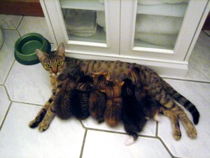 Nom nom nom!