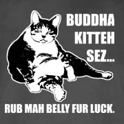 Buddha Kitty