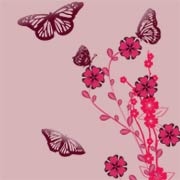 Butterfly Garden