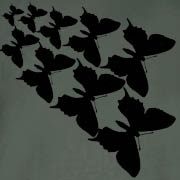 Flight Of The Butterflies-Black Ink