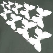 Flight Of The Butterflies-White Ink