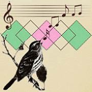 Argyle Sparrow