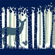 Into The Forest