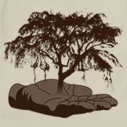 Palm Tree