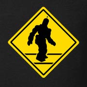 Robot Crossing