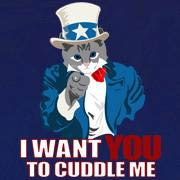 Uncle Sam Kitten
