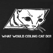What Would Ceiling Cat Do