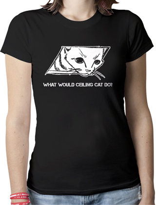 What Would Ceiling Cat Do Ladies Organic T-Shirt