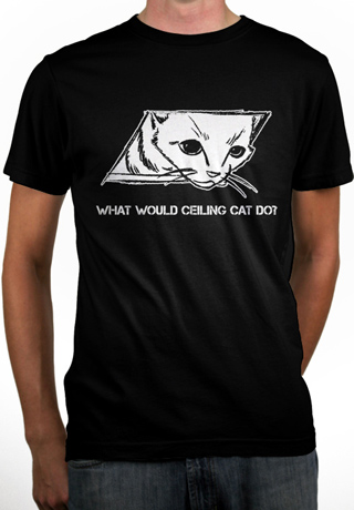 What Would Ceiling Cat Do Mens Organic T-Shirt