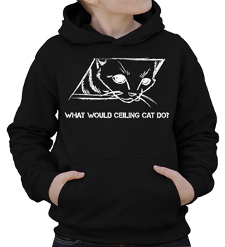 What Would Ceiling Cat Do Kids Hooded Sweatshirt